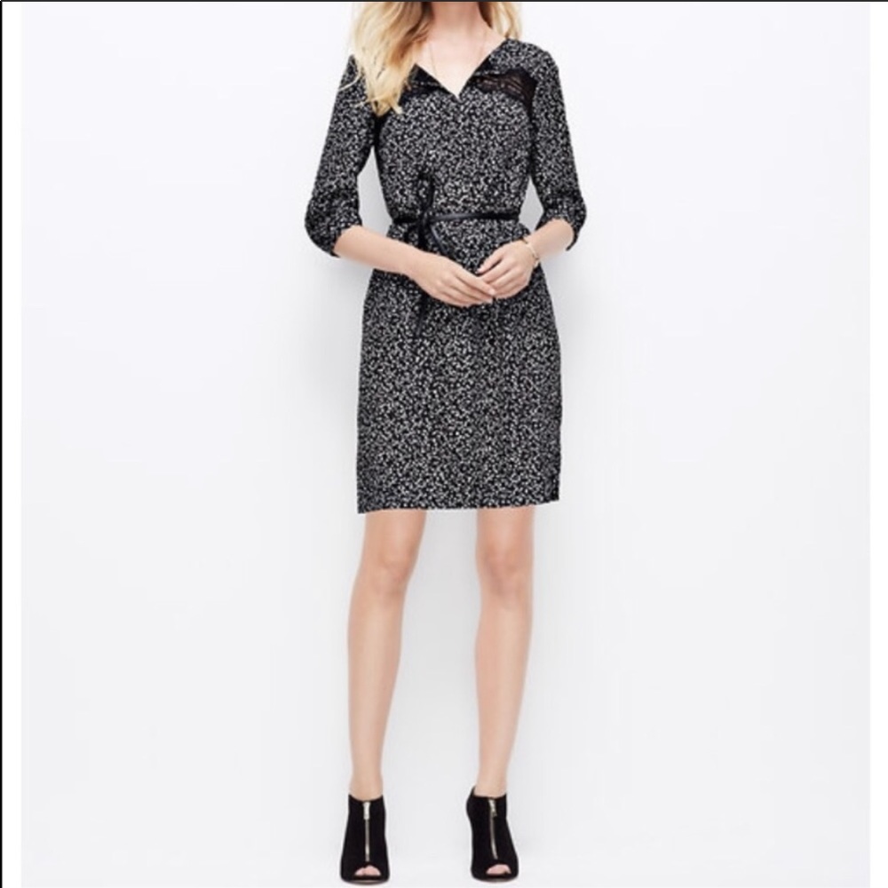 Ann Taylor Lace Confetti Dress
